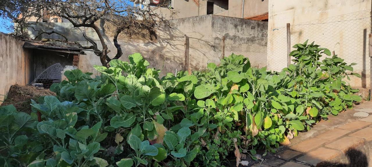 Casa De Temporada Villa Sao Lourenco  Ngoại thất bức ảnh